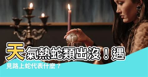 路上遇見蛇|蛇出沒！如何應對？